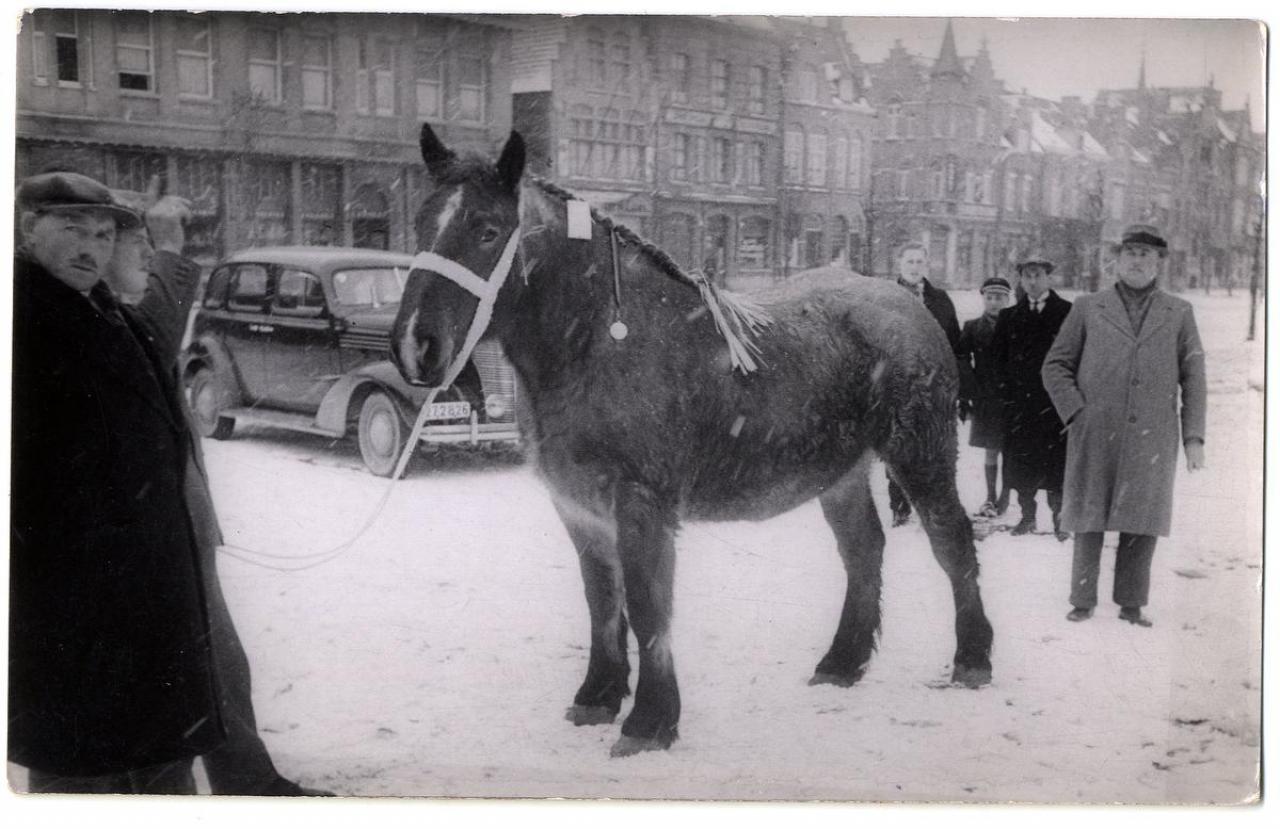 Paardenmarkt in de sneeuw op het Vandenpeereboomplein in de jaren ‘30