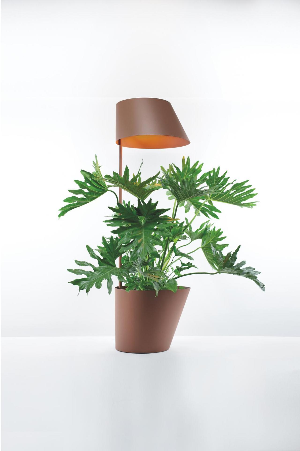 De stalen plantenbak en lamp in één ‘POTR’ wordt niet alleen duurzaam en circulair gemaakt, hij zorgt er ook voor dat je planten floreren, zelfs in donkere hoekjes - € 1.785 - Grønn.