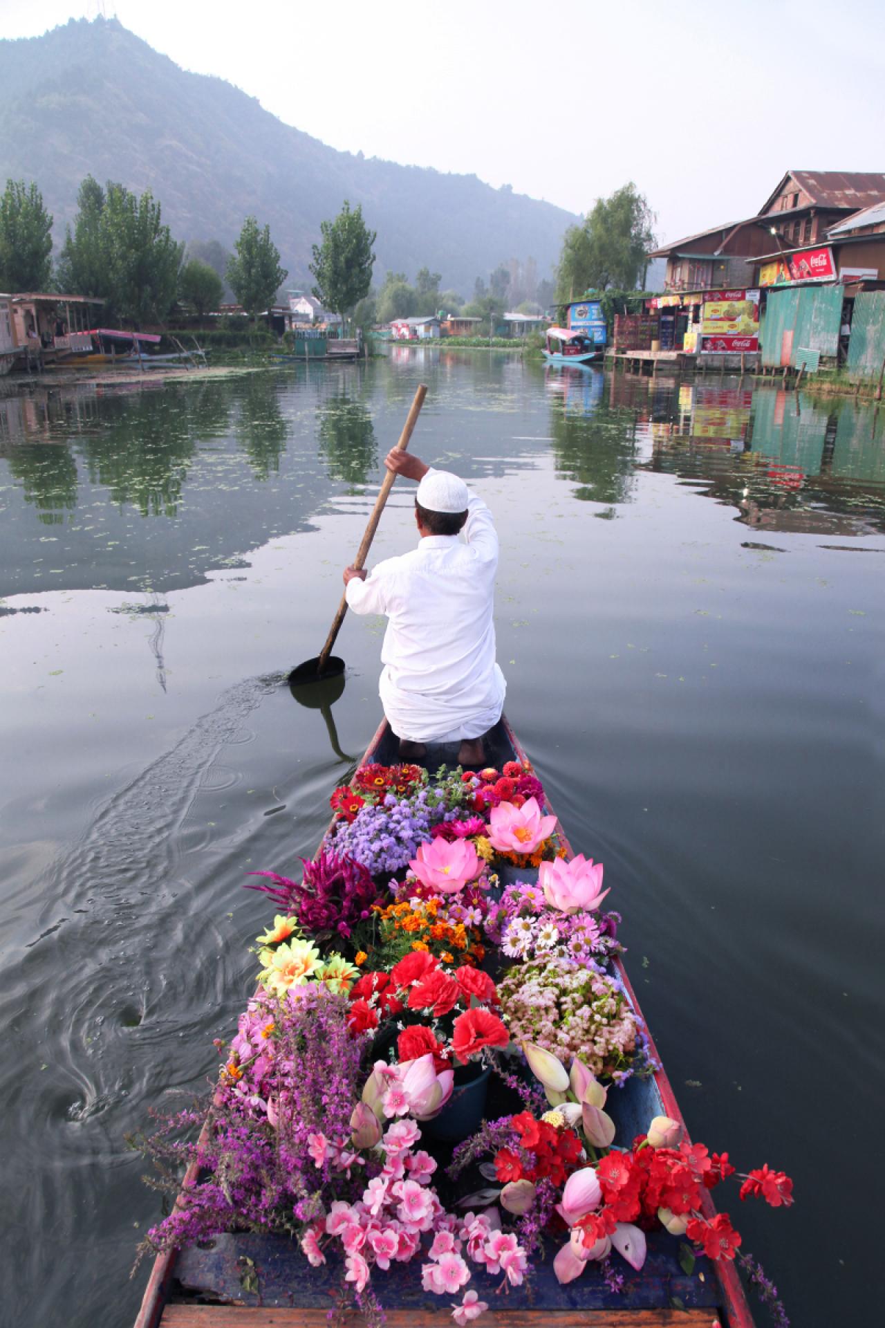 Vendeur de fleurs sur le lac Dal, au Cachemire