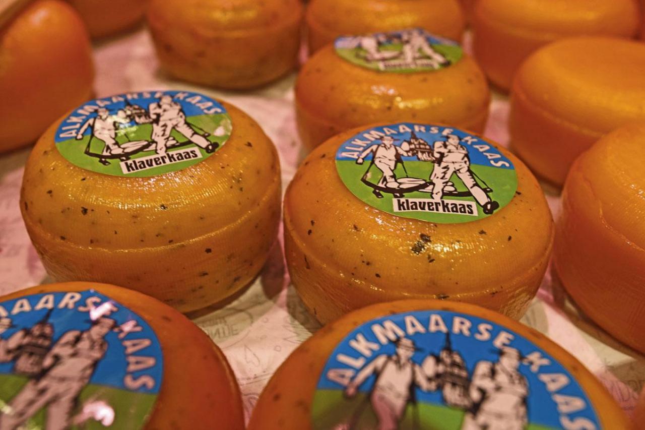 Le fromage d'Alkmaar.