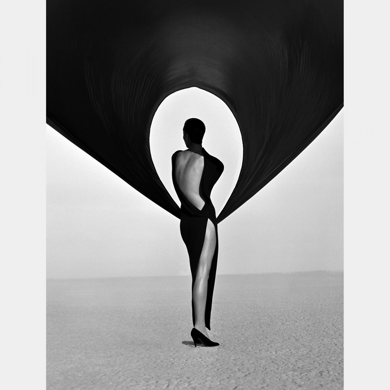 Versace Dress (Back View), Herb Ritts, 1990 
Elton John a commencé par collectionner les photos de mode en noir et blanc. L’exposition s’ouvre sur ces images sensuelles et sophistiquées, comme celle réalisée par Herb Ritts, avec son fétichisme reconnaissable pour les forts contrastes en noir et blanc, les arrière-plans simples etla lumière du soleil californien.