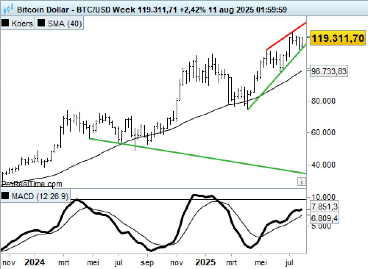 Bitcoin USD - Week