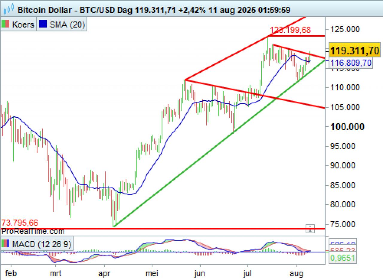 Bitcoin USD - Dag