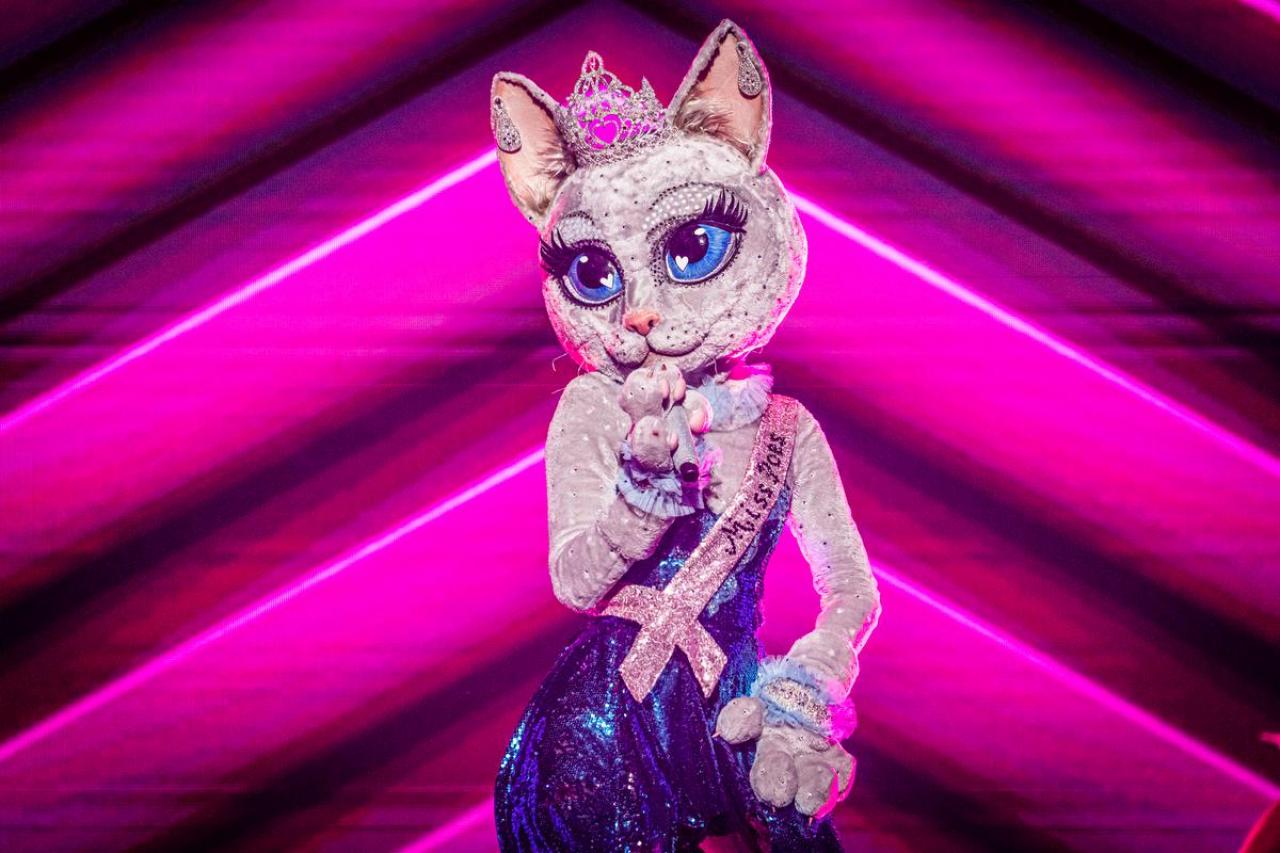 Wie is de mysterieuze Miss Poes?