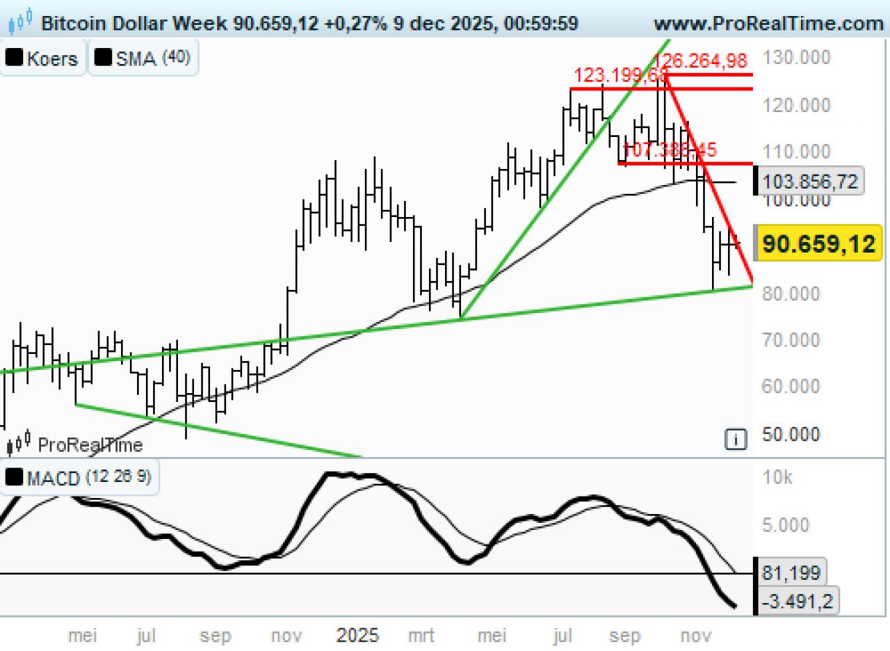 Gure wind op de cryptomarkt: welke valuta moet je kopen?