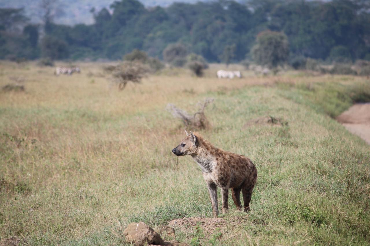 Lake Nakuru National Park.