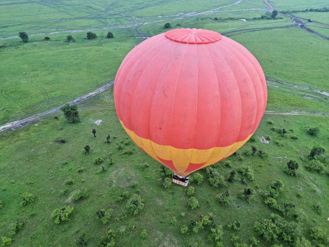 Ballonvlucht over de Masai Mara.