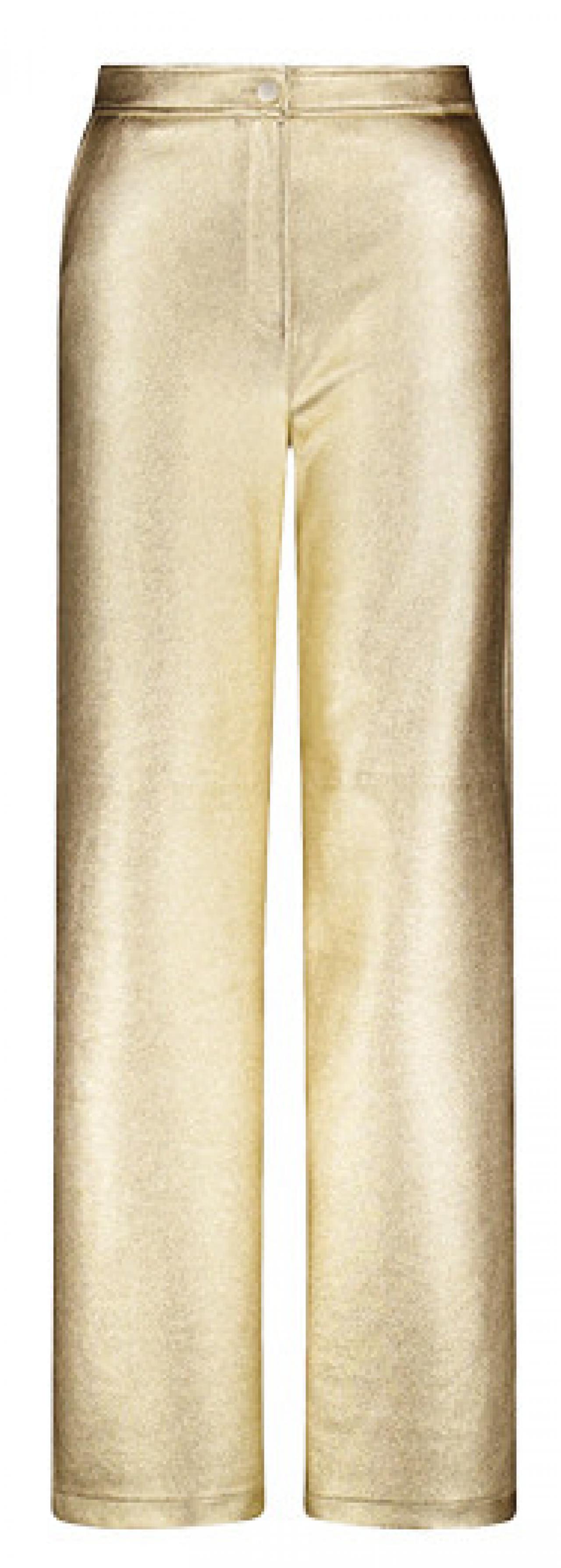 Goudkleurige broek – 69,99 euro – e5.