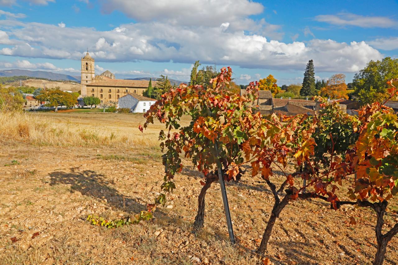 Les vignobles de la Rioja.