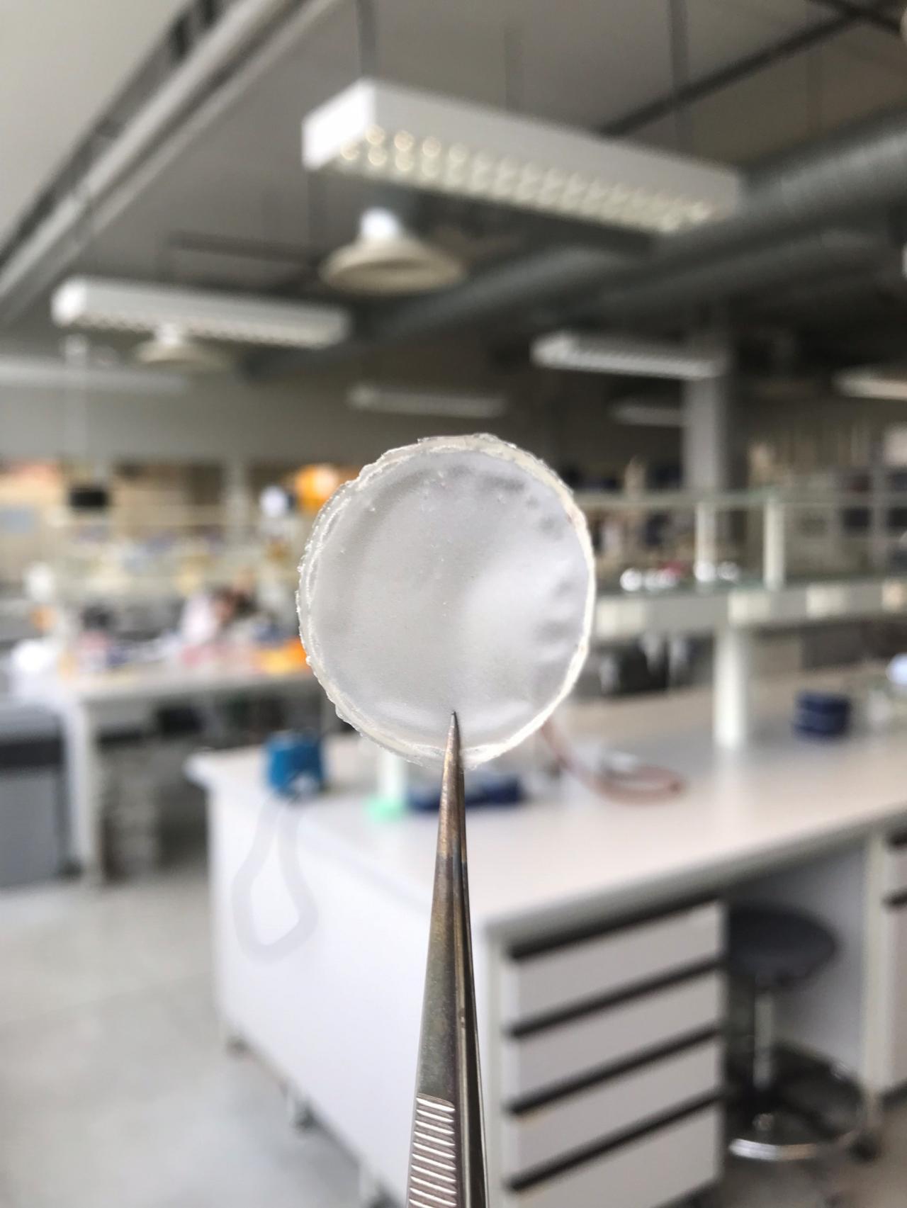 PHA-biopolymeren die geproduceerd werden met behulp van bacteriën.
