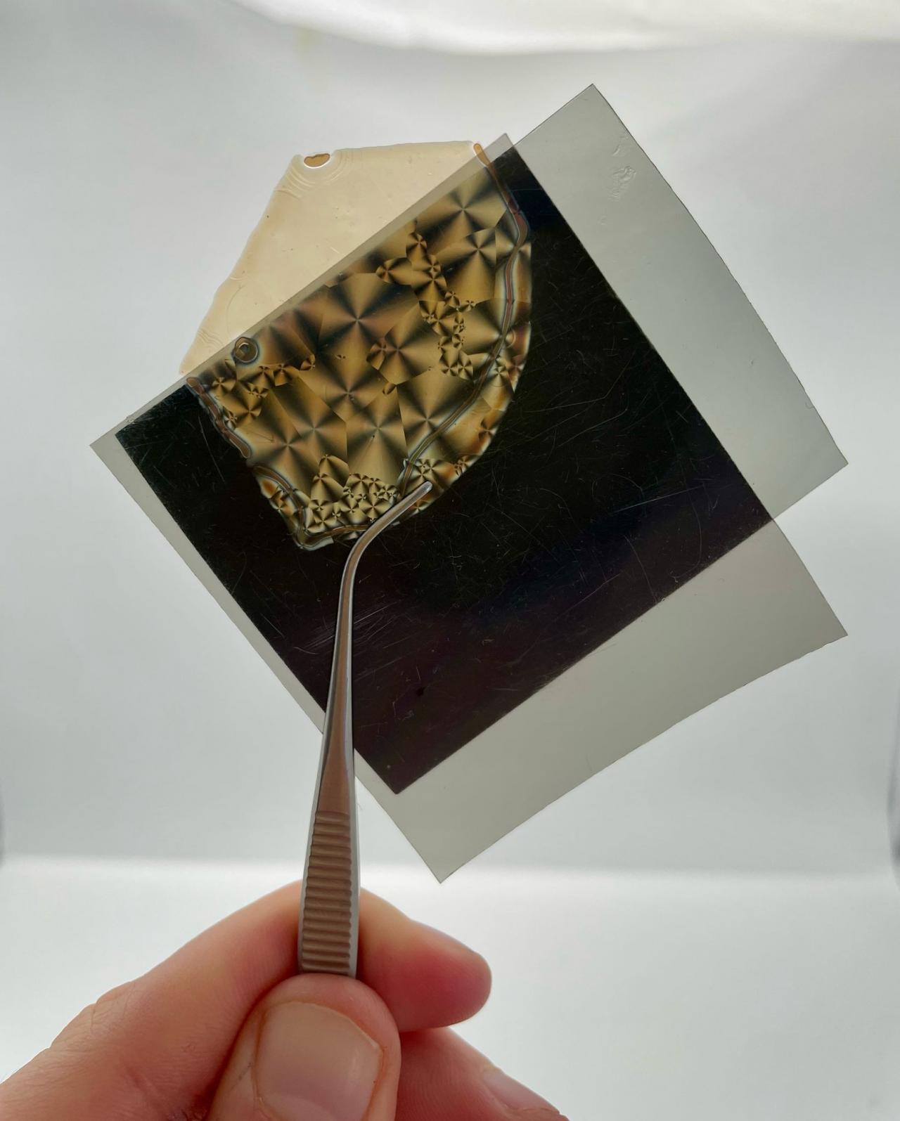 Biopolymeerstaaltjes tussen gekruiste polarisatiefilters, wat gebruikt wordt bij het onderzoeken van de kristallisatie.