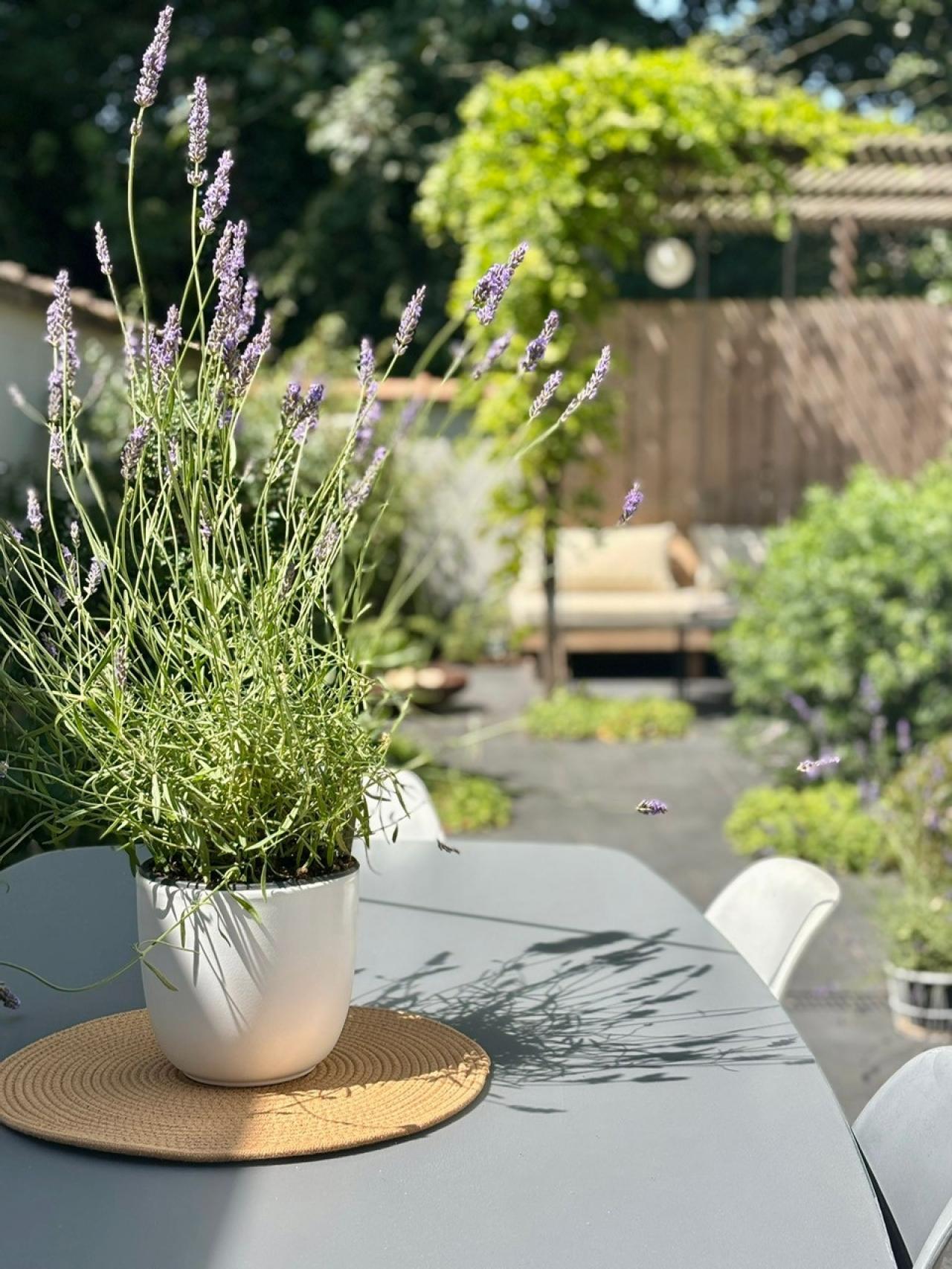 tuininspiratie