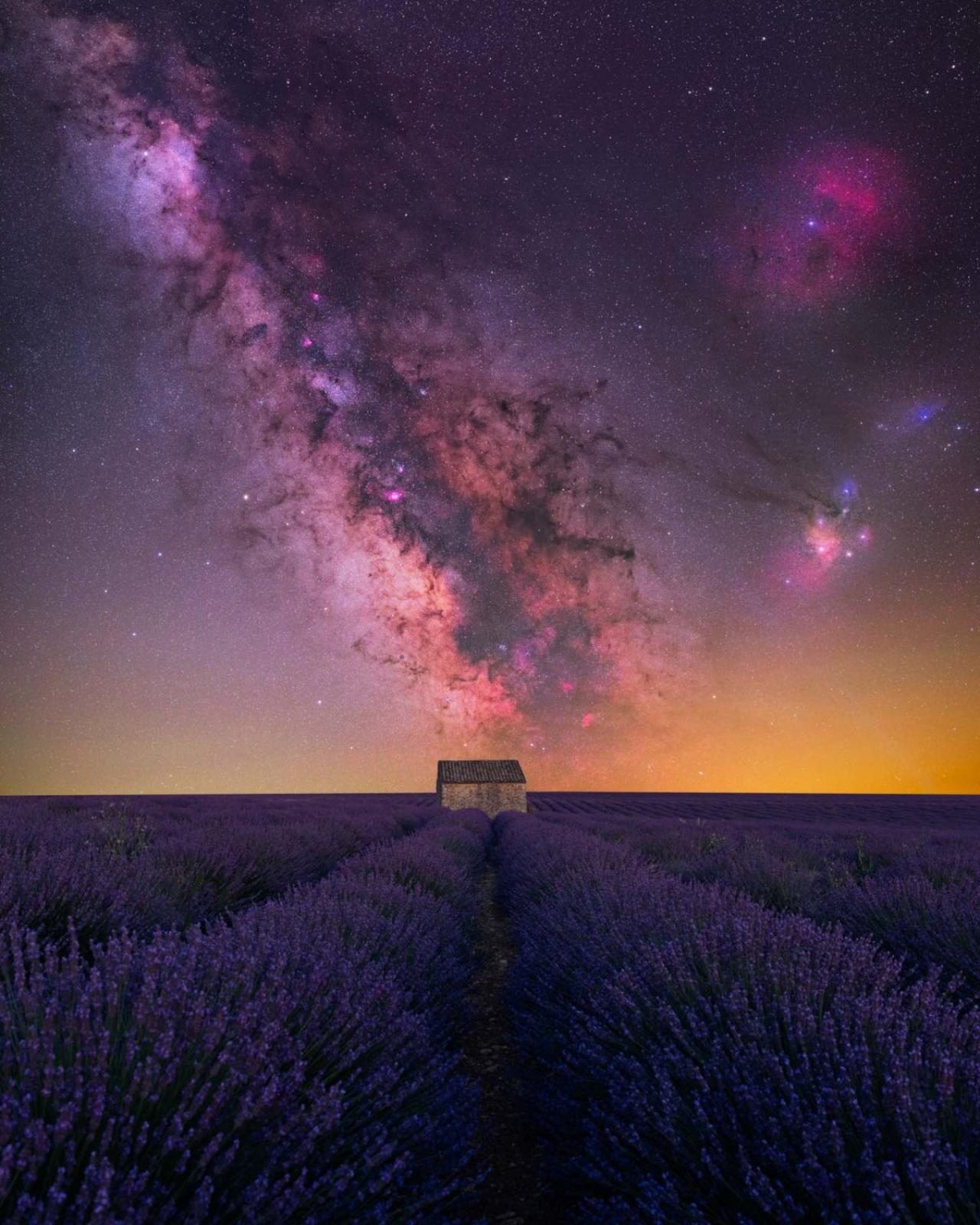 'House of Lavender' gemaakt in Valensole in Frankrijk door Benjamin Barakat