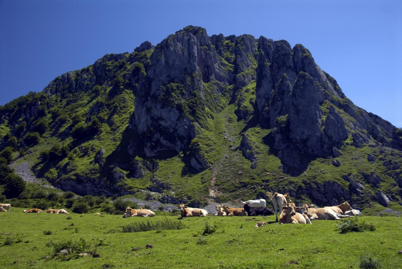Gorbeia Natural Park ligt rondom de 1481 meter hoge Gorbeia. Het is het grootste beschermde natuurgebied in Spaans Baskenland en het wordt gekenmerkt door bergen, bossen, glooiende weilanden, rotsformaties, grotten en de 100 meter hoge Gujuli waterval.