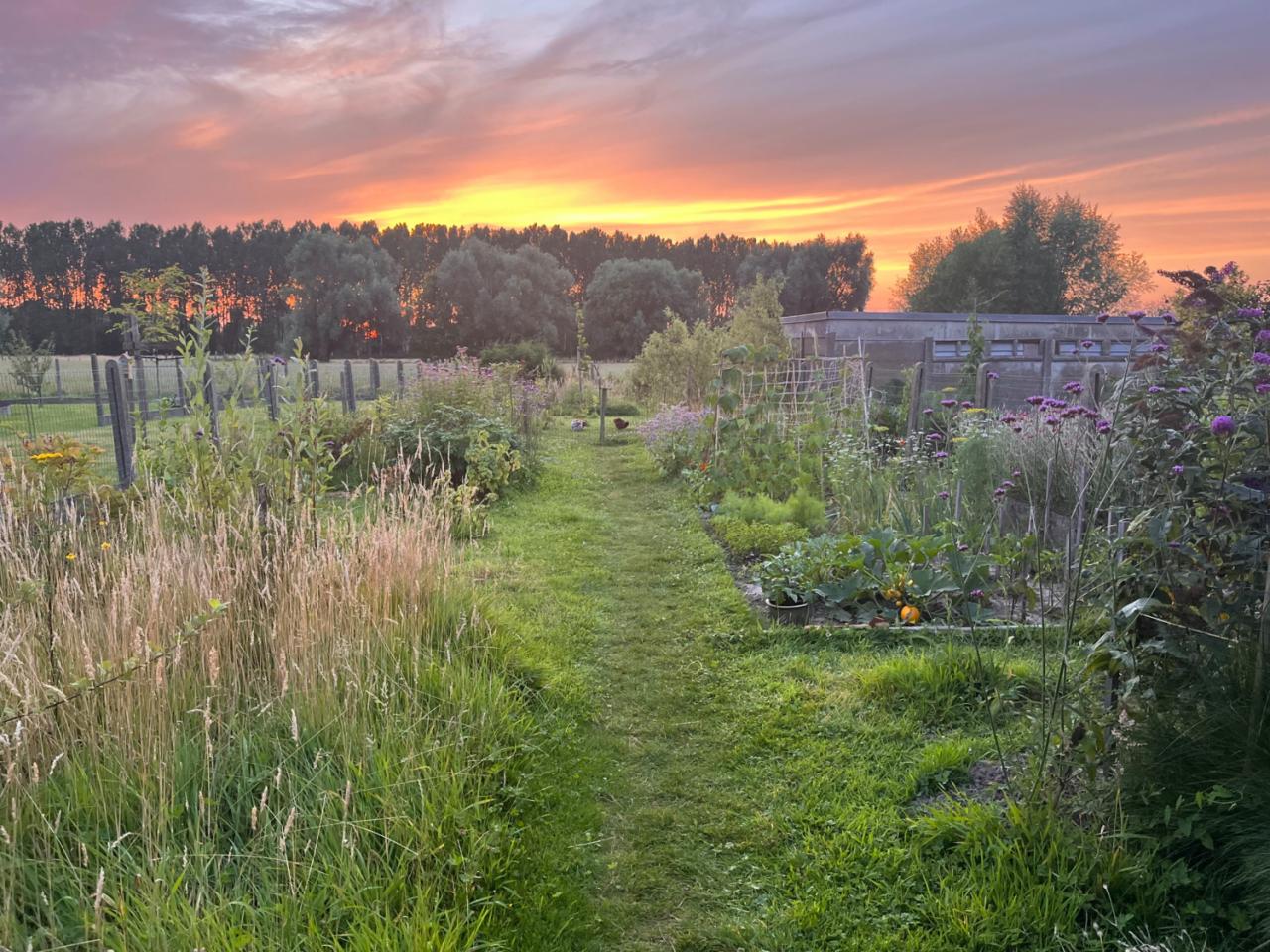 tuininspiratie