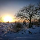 5 activités originales à tester dans les Ardennes cet hiver