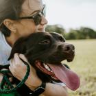 6 sorties estivales à vivre avec votre chien