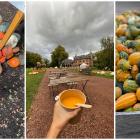 Un festival de la citrouille s'installe bientôt aux portes de Bruxelles