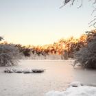 5 merveilleuses randonnées où voir un lac gelé l'hiver en Wallonie 