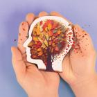 Twee handen houden een miniatuurhoofd vast waarin een boom te zien is.