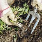 entretien jardin mars printemps