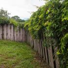 jardin mal entretenu voisin problèmes de voisinage