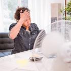 canicule chaleur