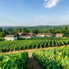 Champagne Vallée de la Marne