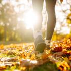 forêt nature balade