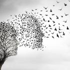 Leven, dood en eeuwigheid als een concept van het hiernamaals, een symbool van reïncarnatie, zelfmoord en existentiële overgang naar de hemel of het hiernamaals, of de eeuwige reis.