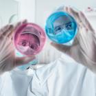 inégalité homme femme maladies