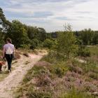 Jonge vrouw met hond wandelt in natuurgebied