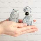 Vrouwenhanden houden een schattig kitten en een puppy vast. Kat en hond in handen.