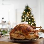 Dinde de Noël
