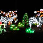 Admirer l’art chinois des illuminations pendant China Light ZOO