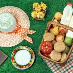 VertDure Pic-Nic Citadin - LIÈGE