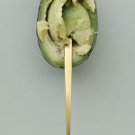 Avocado's, druiven en rozijnen (dus ook producten die ze bevatten)