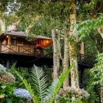 Casa Na Árvore, Monte Verde, Brésil
