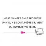 Le biscuit