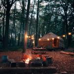 Une yourte dans les bois