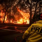 Incendies en Australie: 3 manières d'apporter votre aide