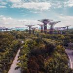 Singapour