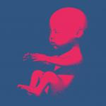 Les bébés sont recouverts de duvet in utero