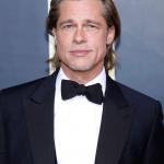 Brad Pitt alias William Bradley Pitt