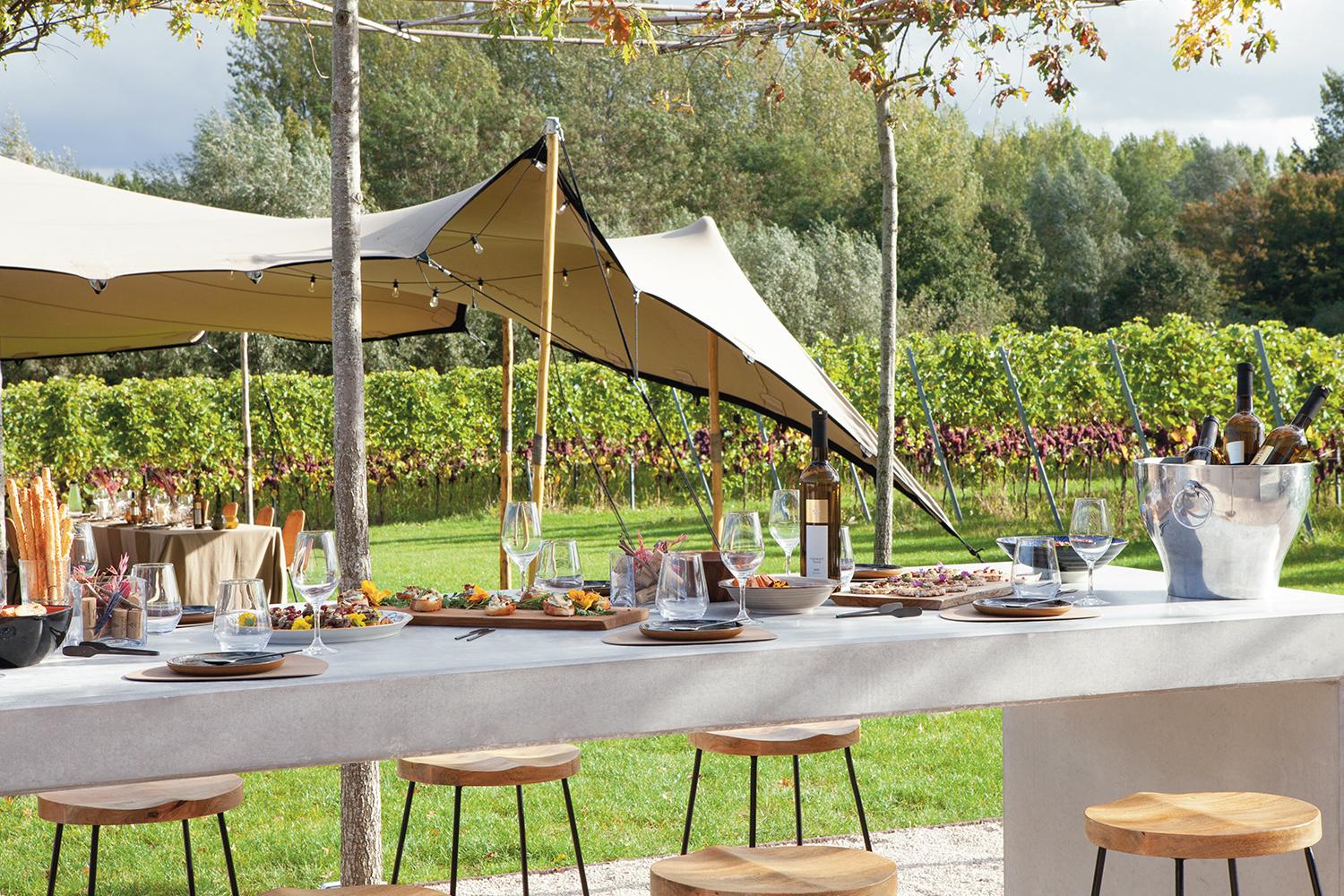 Dinner at the Vineyard
