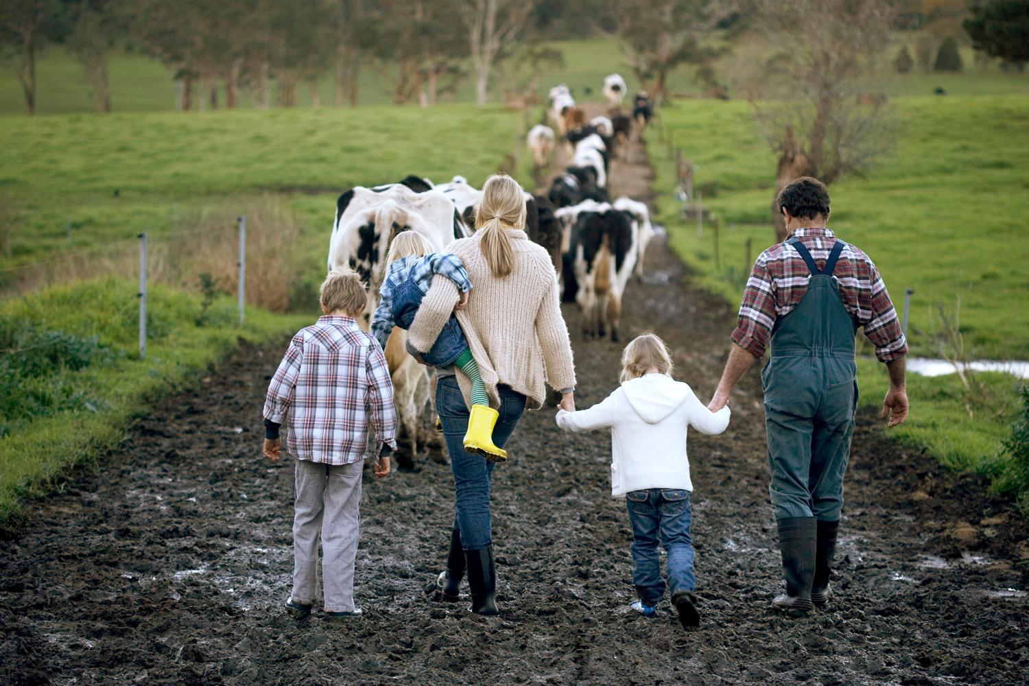 La Ferme des enfants de Liège