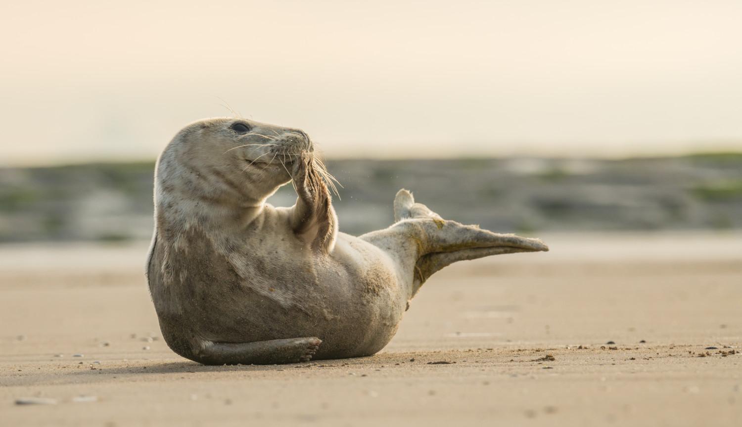 Noordzee