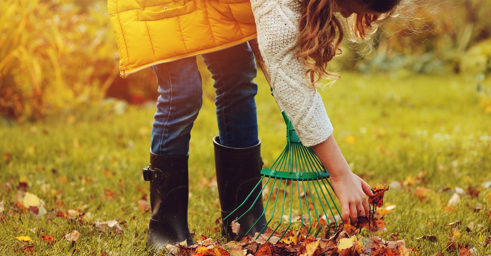 La tendance est à ne plus ramasser les feuilles mortes dans les jardins -   - Régions