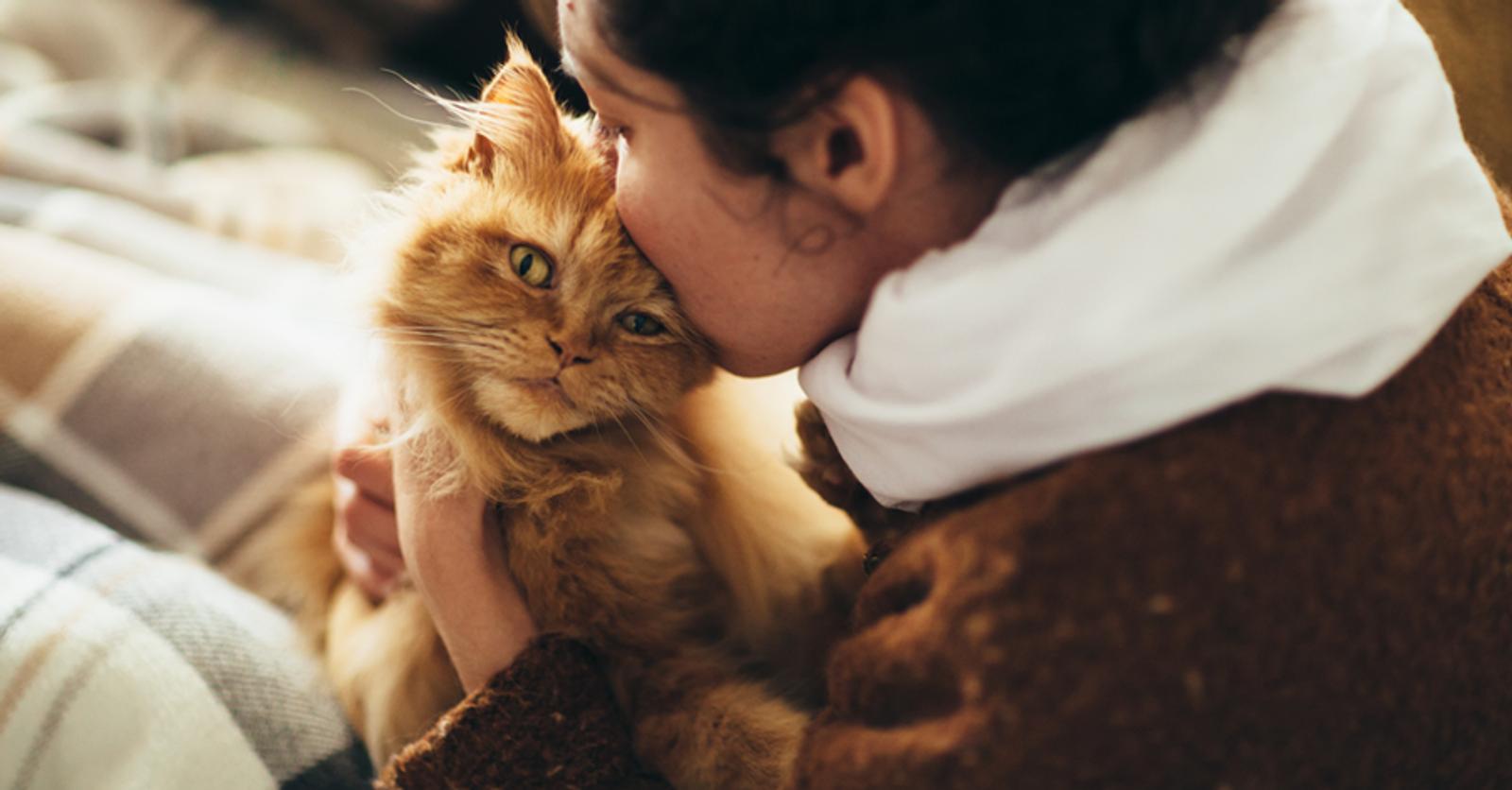 12 citations qui parleront aux amoureux des animaux — free download