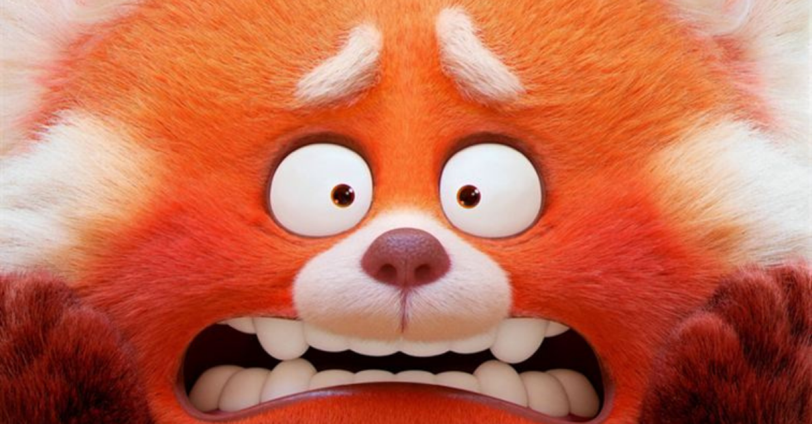 Le panda roux du nouveau Pixar "Alerte Rouge" nous fait craquer